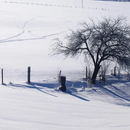 Apartmán In Sauerland Nahe Winterberg Skifahren