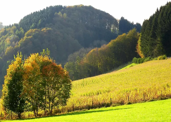 דירה In Sauerland Nahe Winterberg Skifahren